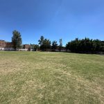 TRABAJOS DE MANTENIMIENTO A CANCHA DEPORTIVA EN LA PIEDAD